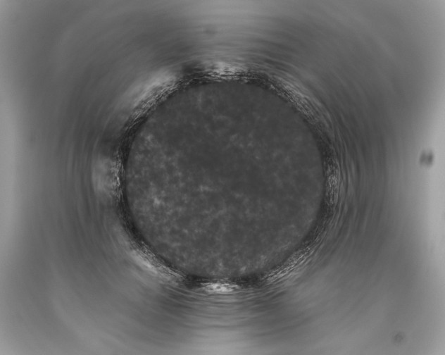 X0000093460654200710261021