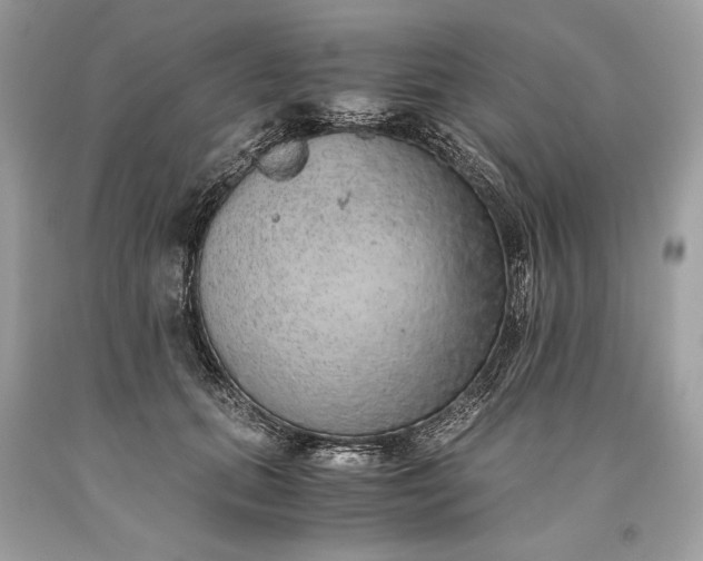 X0000093460655200710261021