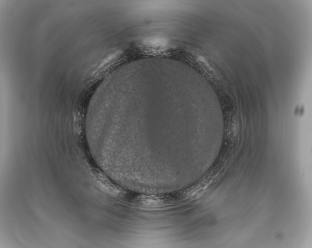 X0000093460658200710261022