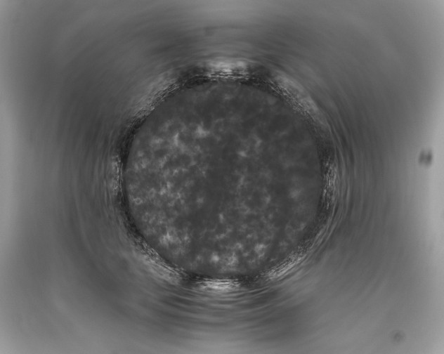 X0000093460659200710261022