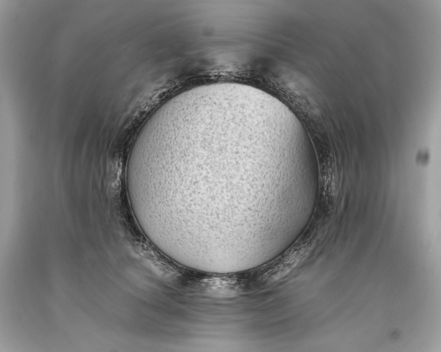 X0000093460660200710261022