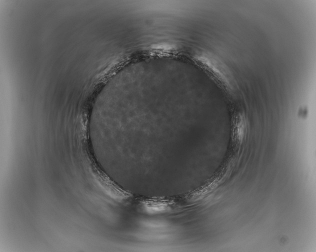 X0000093460661200710261022