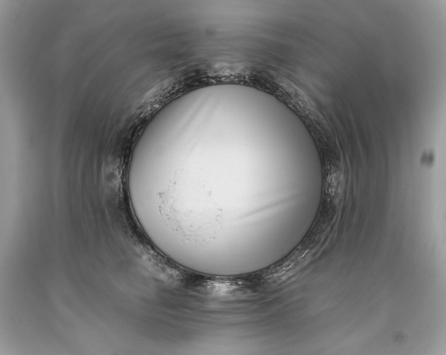 X0000093460662200710261022