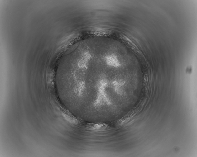 X0000093460663200710261022