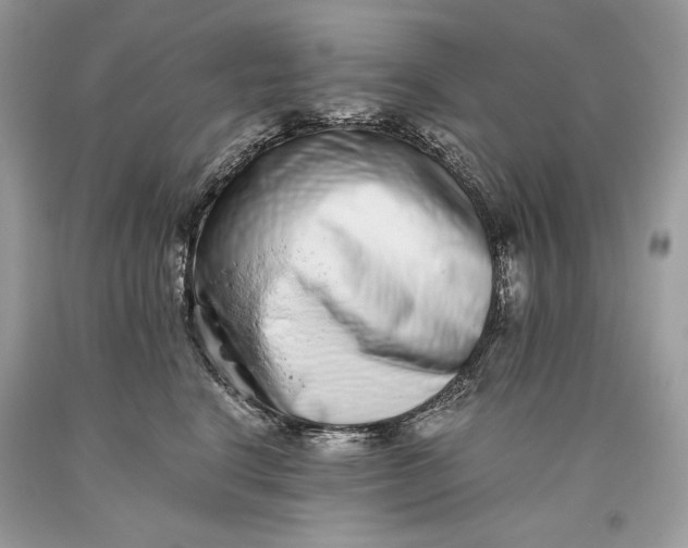 X0000093460664200710261022