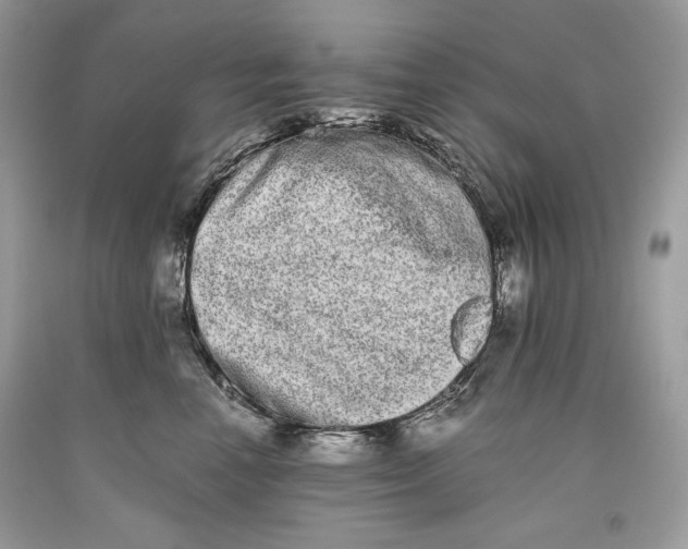 X0000093460666200710261022