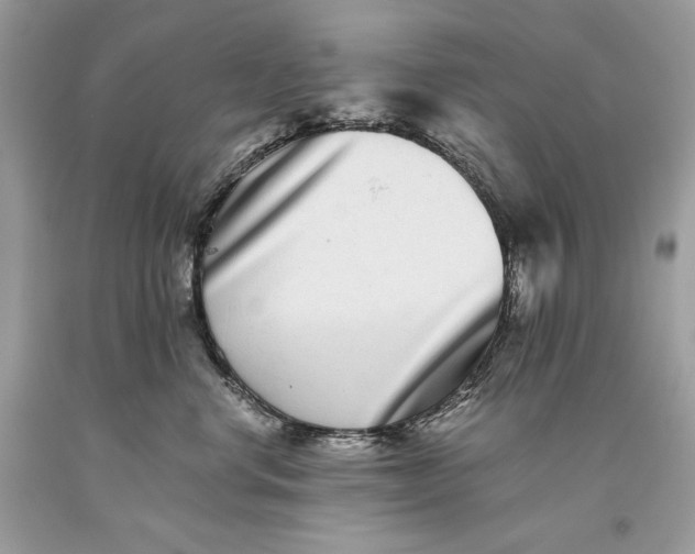 X0000093460668200710261022