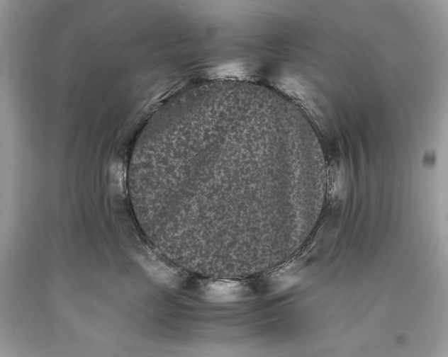 X0000093460669200710261022