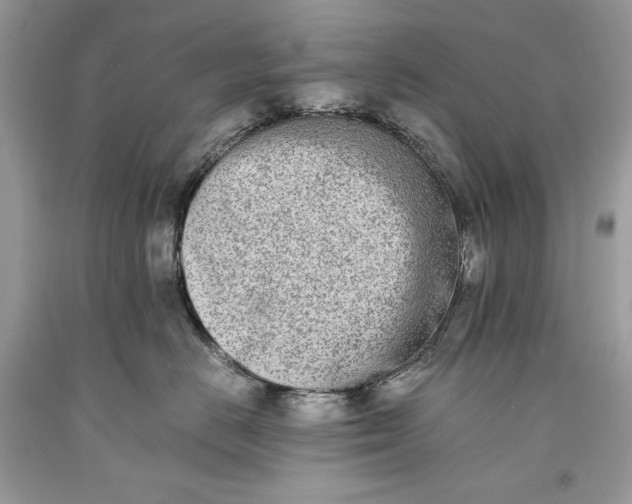 X0000093460670200710261022