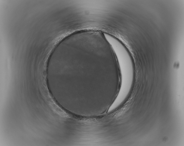 X0000093460673200710261021