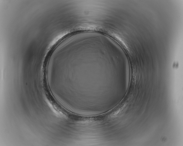 X0000093460674200710261021