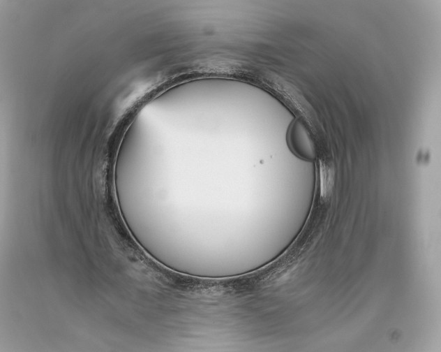 X0000093460675200710261021