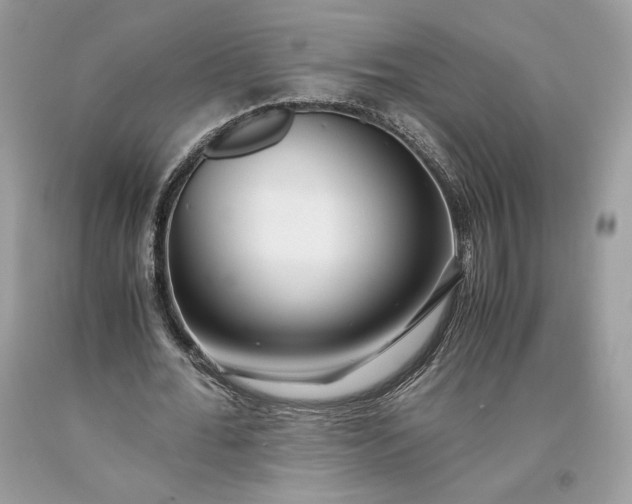 X0000093460676200710261021