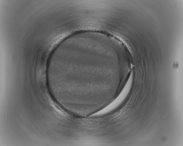 X0000093460677200710261021