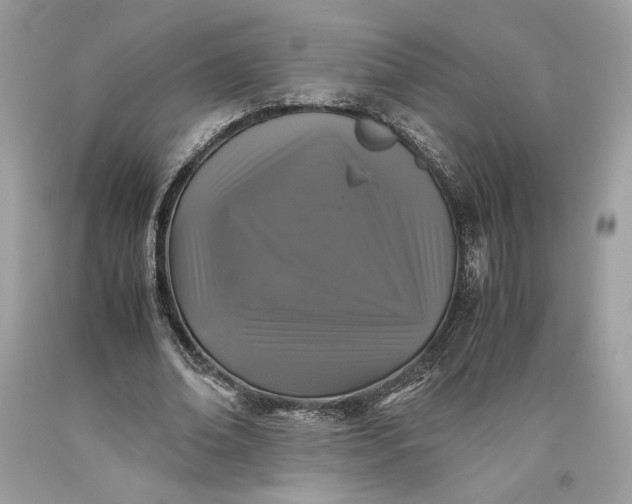 X0000093460678200710261021