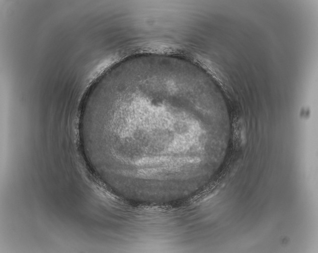 X0000093460679200710261021