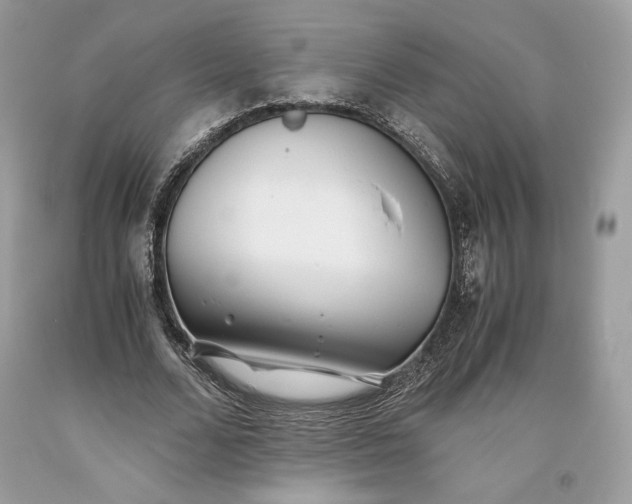 X0000093460680200710261021