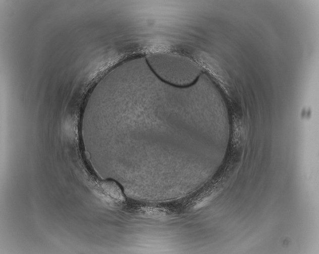 X0000093460681200710261021