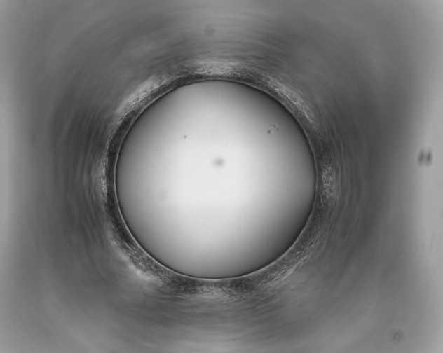 X0000093460682200710261021