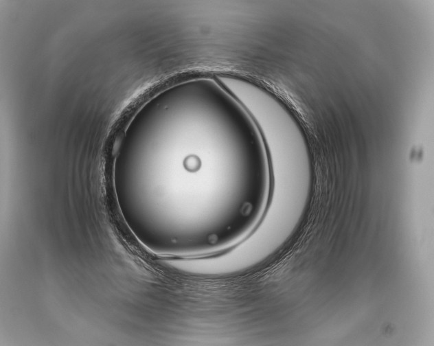 X0000093460684200710261021