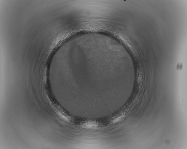 X0000093460685200710261021