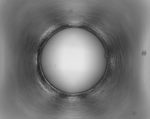 X0000093460686200710261021