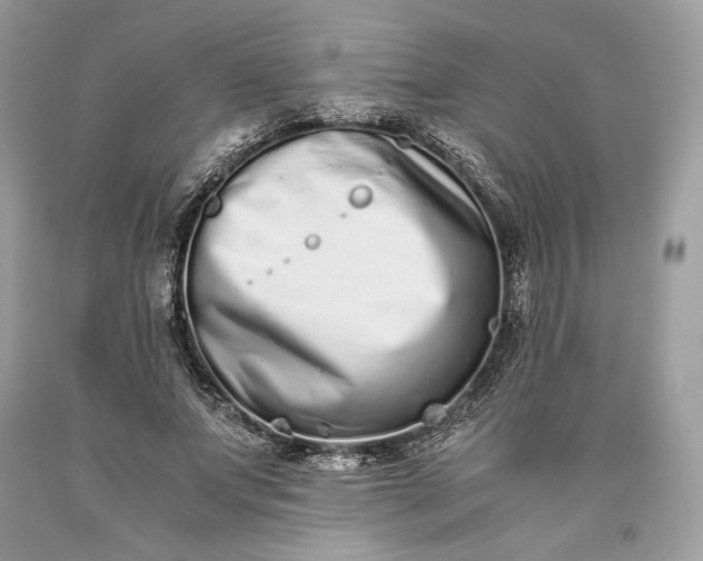 X0000093460687200710261021