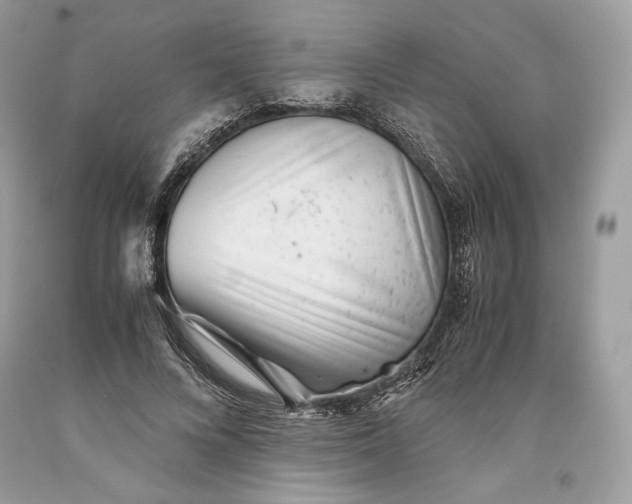 X0000093460688200710261021