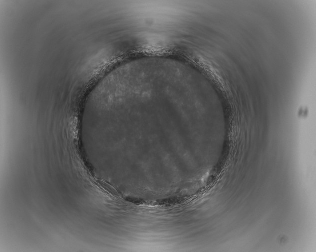 X0000093460689200710261021