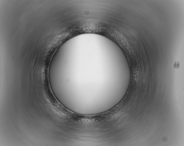 X0000093460690200710261021