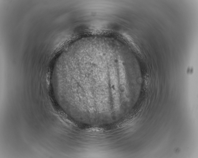 X0000093460691200710261021