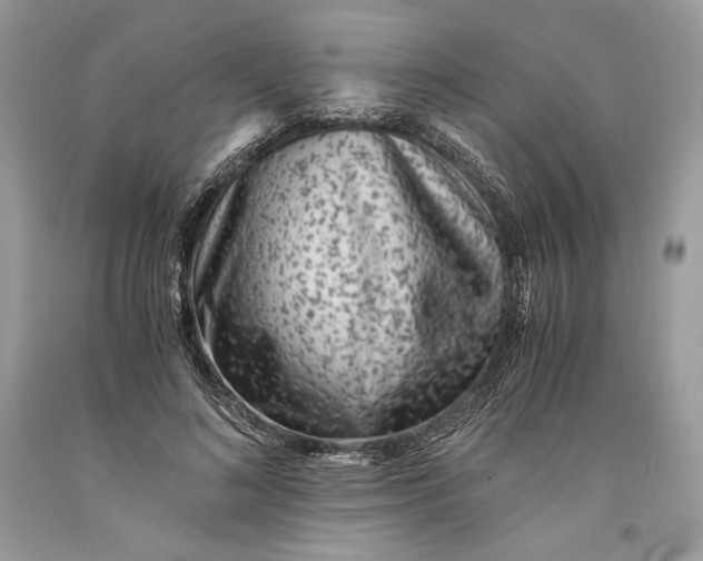 X0000093460692200710261021