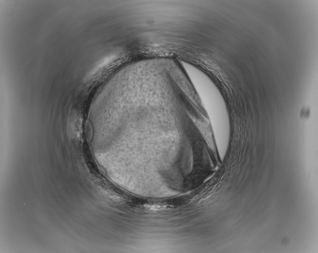 X0000093460693200710261021