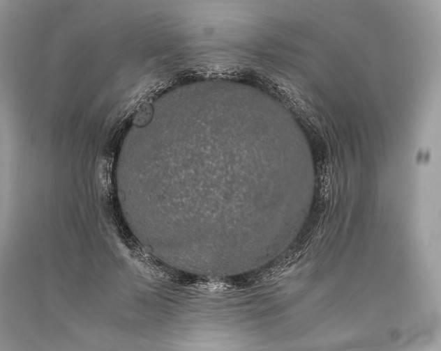 X0000093460695200710261021