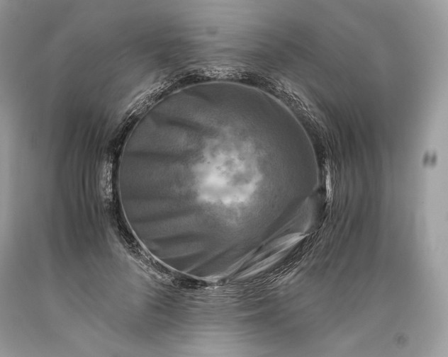 X0000093460696200710261021