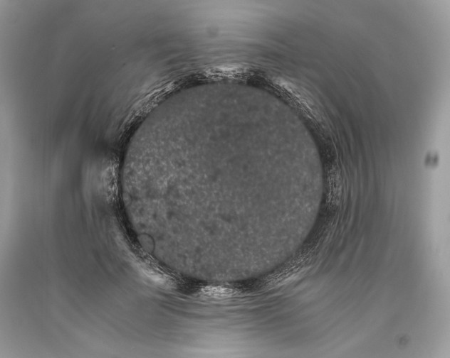 X0000093460699200710261021