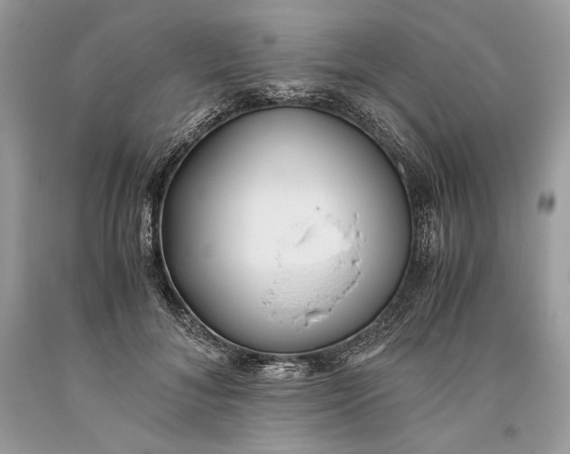 X0000093460700200710261021