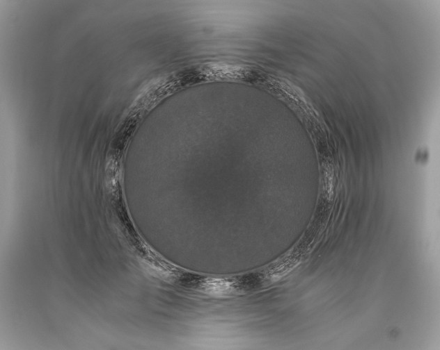 X0000093460701200710261021