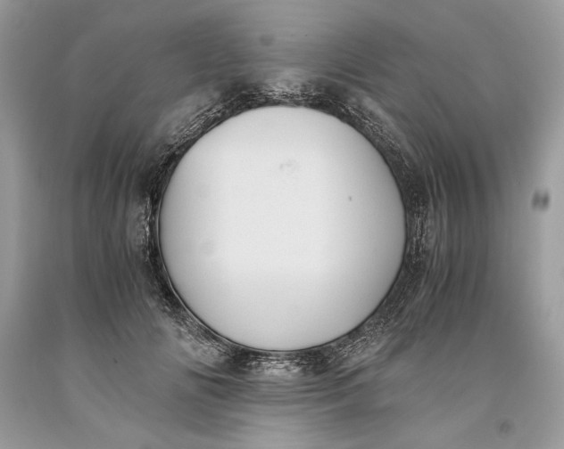 X0000093460702200710261021