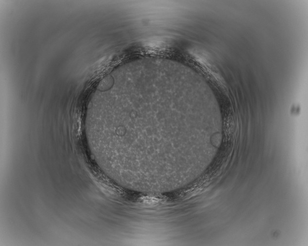 X0000093460703200710261021