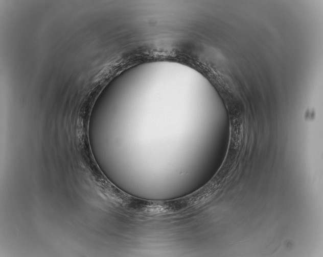 X0000093460704200710261021