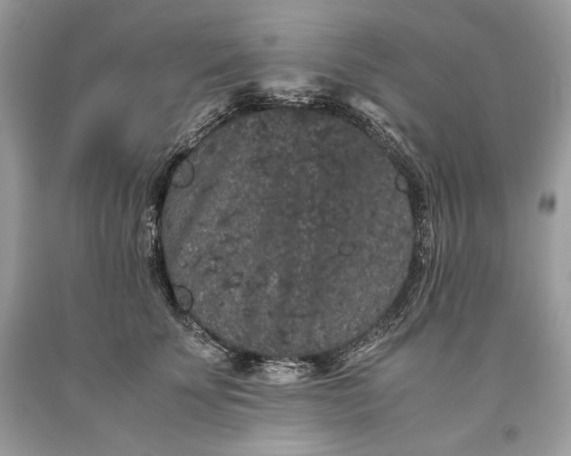 X0000093460707200710261021