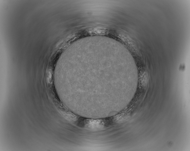 X0000093460709200710261021