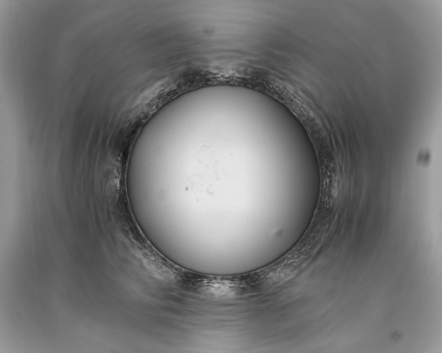 X0000093460710200710261021