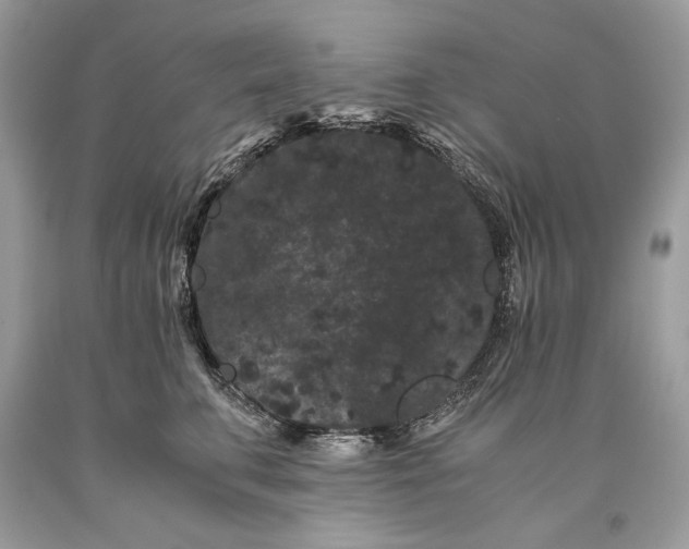 X0000093460711200710261021