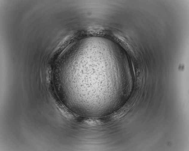 X0000093460712200710261020