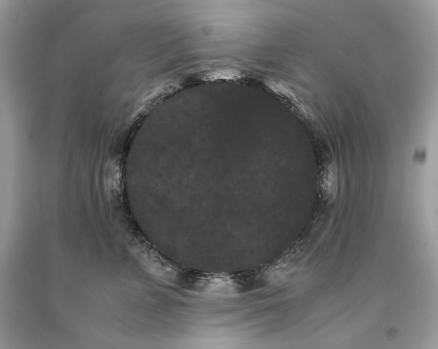 X0000093460715200710261020