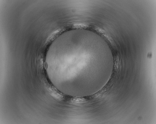 X0000093460716200710261020