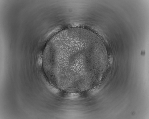 X0000093460719200710261020