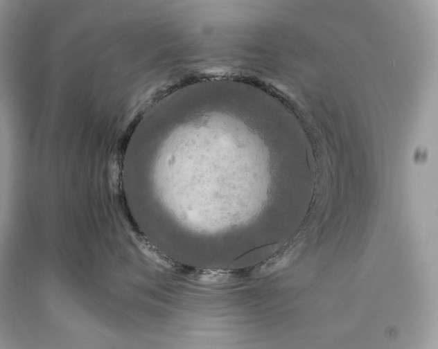 X0000093460720200710261020